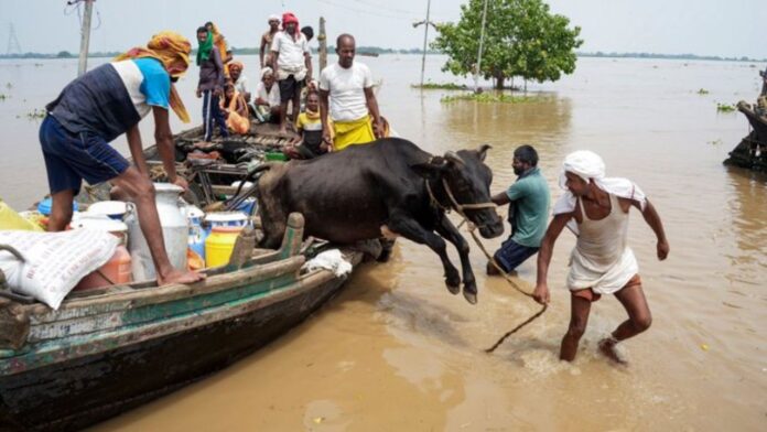 Bihar Flood Crisis 13 Districts and 29 Lakh People Affected Bihar Flood Crisis 13 Districts and 29 Lakh People Affected