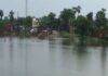 बिहार में बाढ़ से हाहाकार, 14 जिले जलमग्न और 41 लाख लोग बेहाल Bihar Flood Update