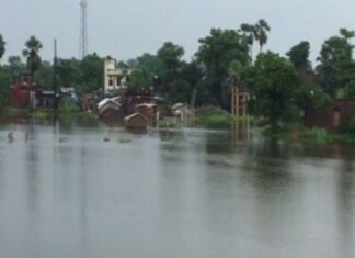 बिहार में बाढ़ से हाहाकार, 14 जिले जलमग्न और 41 लाख लोग बेहाल Bihar Flood Update