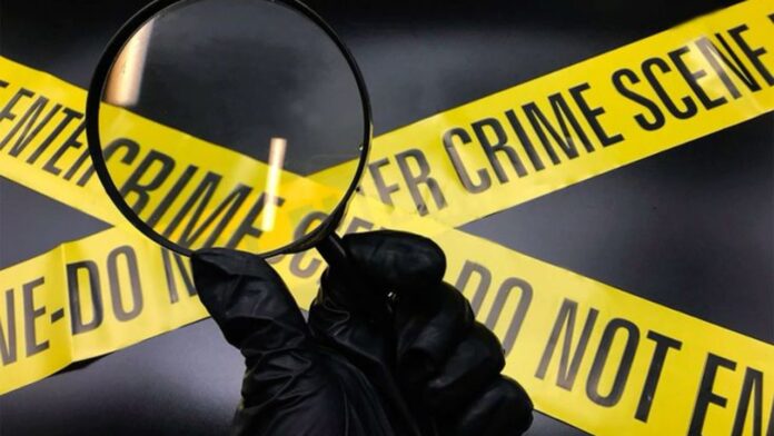 Crime Crime