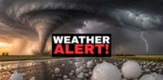 Weather Alert: IMD ने कई इलाकों में भारी से बहुत भारी बारिश की दी चेतावनी weather forecast