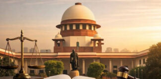 'पूरा बैन किया तो आहत होंगी भावनाएं', दिवाली पर पटाखों से नहीं छिनेगी खुशियां? जानें SC का फैसला