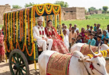 नवादा में अनोखी बारात: फूलों से सजी बैलगाड़ी में दुल्हन को लेने पहुंचा दूल्हा, कार्ड पर लिखा ‘बापू संग कस्तूरबा’