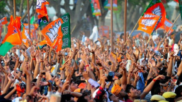 कॉकरोच और कांग्रेस की चुनौती के बीच BJP का दबदबा, बंपर जीत से खिल उठा कमल, AAP का नहीं खुला खाता