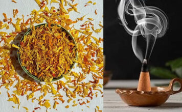 नवरात्रि-दिवाली के बचे फूल फेंकने की बजाय बनाएं खुशबूदार धूप कोन, घर पर ऐसे करें तैयार