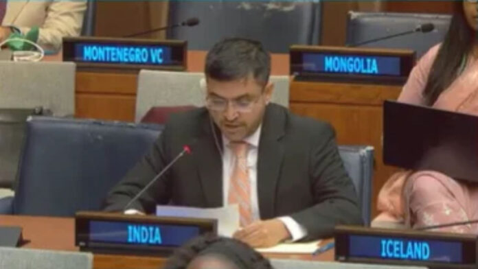 'अपने गिरेबान में झांको', UN में अल्पसंख्यकों पर ज्ञान देने चला पाकिस्तान, भारत ने दिया करारा जवाब