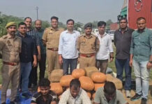 एंटी नारकोटिक्स टीम और पुलिस की बड़ी कार्रवाई, पकड़ा 1.25 करोड़ का गांजा